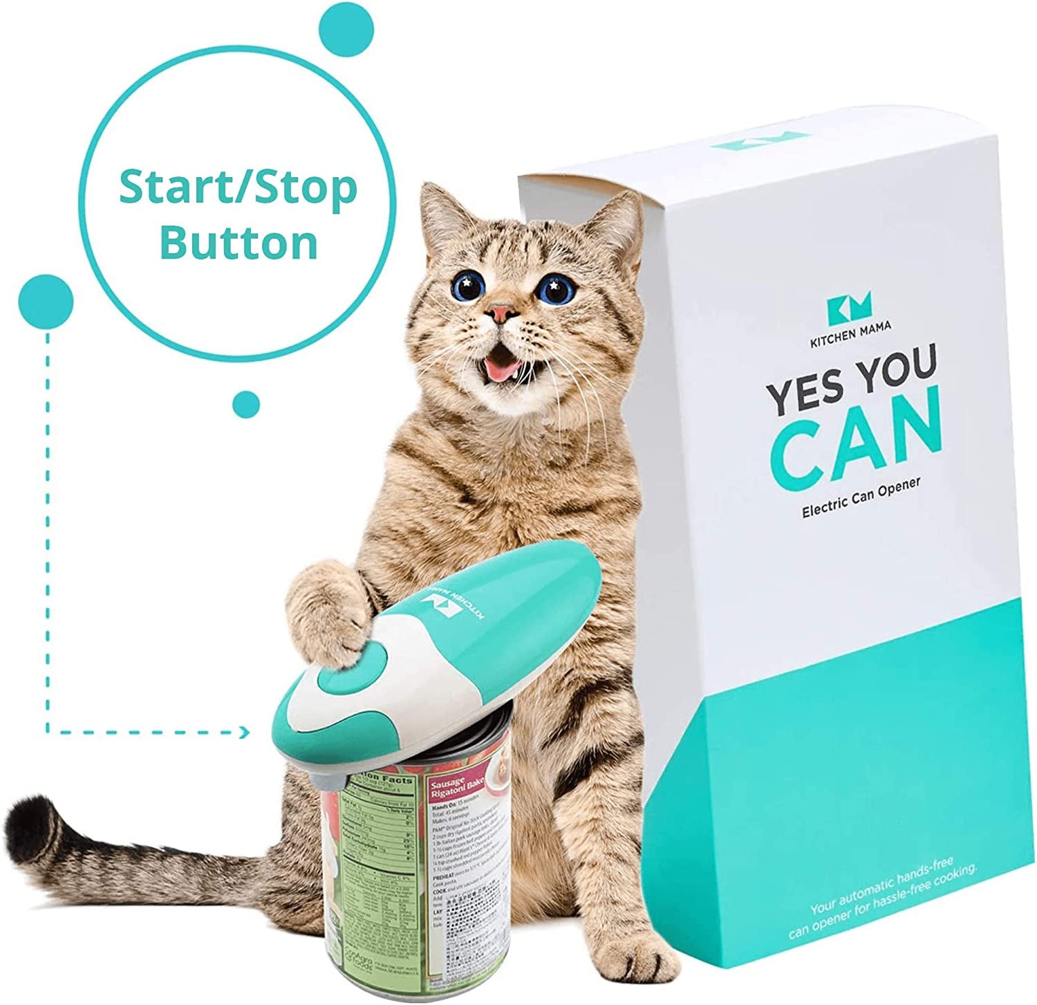 Auto Electric Can Opener: Open Your Cans with a Simple Press of Button - Automatic, Hands Free, Smooth Edge, Food-Safe, Battery Operated, YES YOU CAN (Teal)